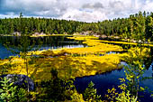 Parco Nazionale di Nuuksio 